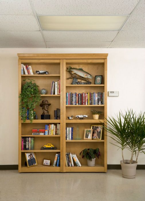 Woodfold Bookcase Doors Accordion Doors